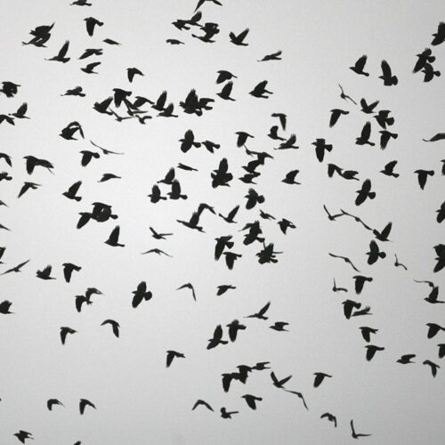 qode interactive strata