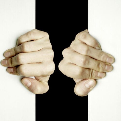 qode interactive strata